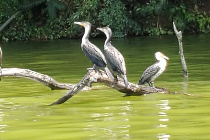 Private Canoe or Hike Tour on Lake Duluti - The Nkoaranga stop and the work of The Small Things