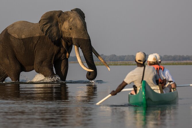 Private Canoeing, Cycling, Coffee and Hiking Tour in lake Duluti. - Key points before you book
