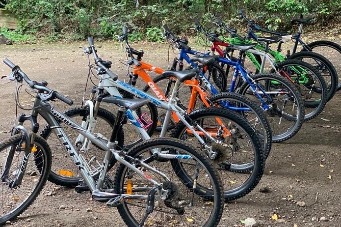 Private Canoeing, Cycling, Coffee and Hiking Tour in lake Duluti. - Why Lake Duluti makes a good day trip from Arusha