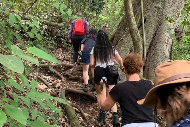 Private Canoeing, Cycling, Coffee and Hiking Tour in lake Duluti. - How the full seven to nine hours works