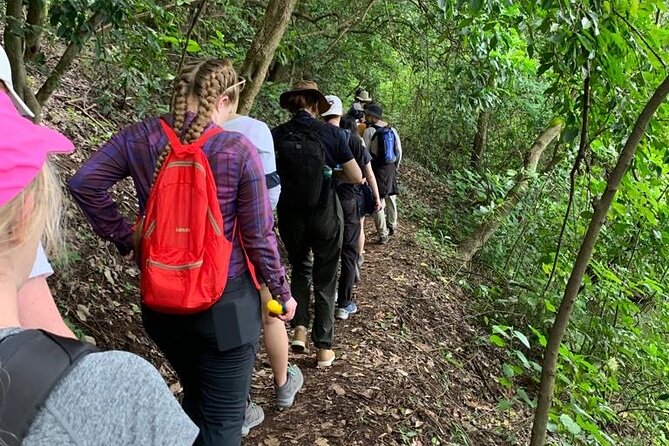Private Canoeing, Cycling, Coffee and Hiking Tour in lake Duluti. - Is $150 per person good value?