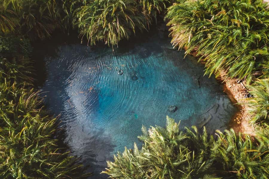 Private Chemka/Kikuletwa hotsprings with lunch & drinks - Why Chemka feels like an oasis