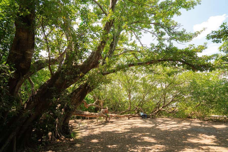 Private Chemka/Kikuletwa hotsprings with lunch & drinks - Swimming, current, and rest time