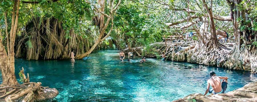 Private Chemka/Kikuletwa hotsprings with lunch & drinks - Lunch, drinks, and what the $97 covers