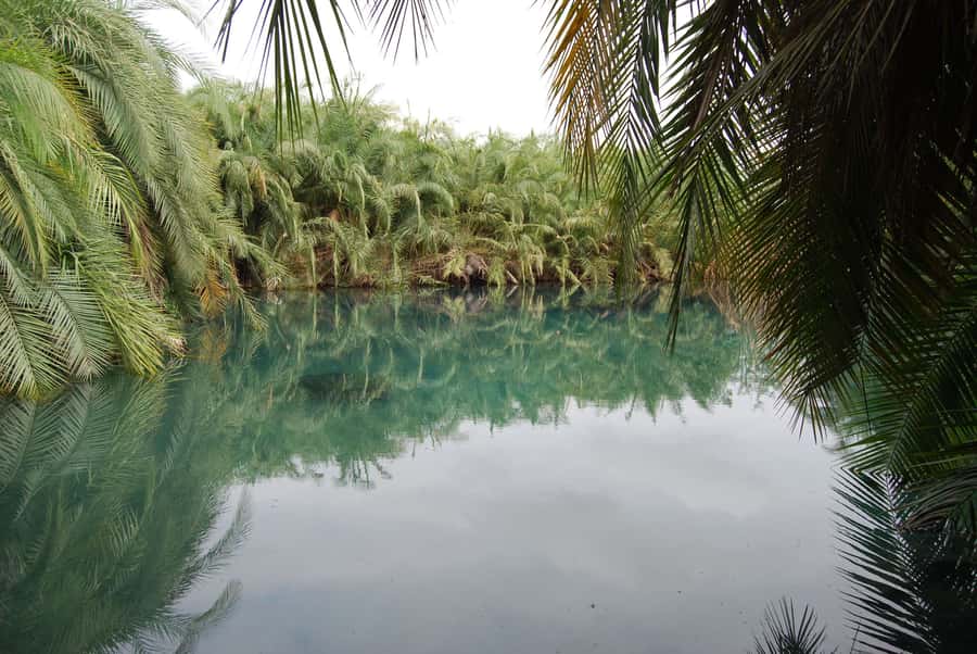 Private Chemka/Kikuletwa hotsprings with lunch & drinks - The best time to visit