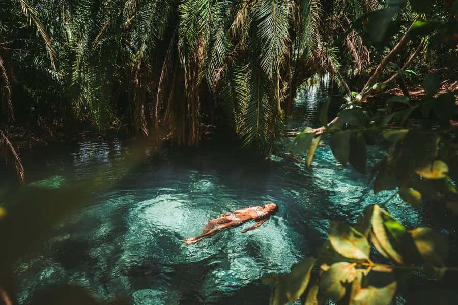 Private Chemka/Kikuletwa hotsprings with lunch & drinks - The drive from Arusha or Moshi