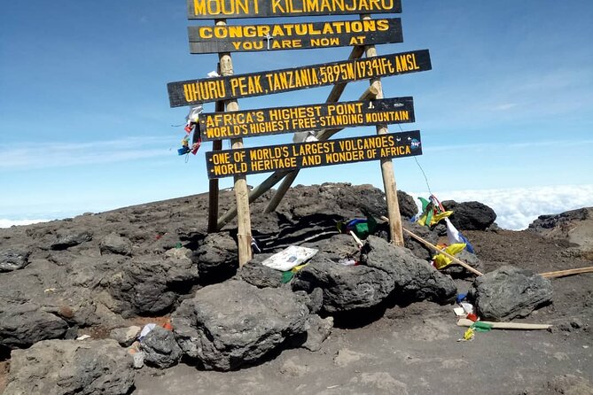 Private Day Tour and Hike in Kilimanjaro National Park - Key points to know before booking