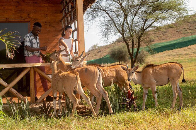 Private Day Tour in Serval Wildlife and Kikuletwa Hot Spring - Key things to know before booking