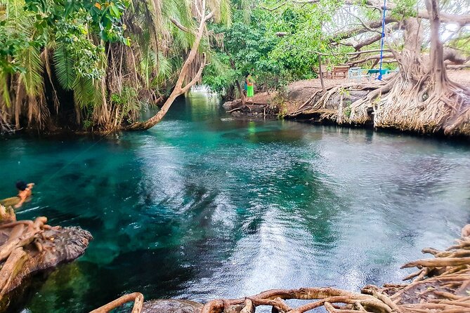 Private Day Tour in Serval Wildlife and Kikuletwa Hot Spring - Weather, cancellation, and basic planning