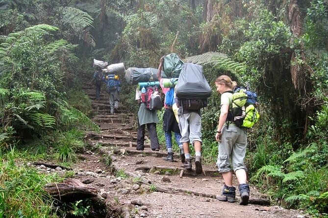 Private Day Tour Kilimanjaro Hike - What the $264 price really covers