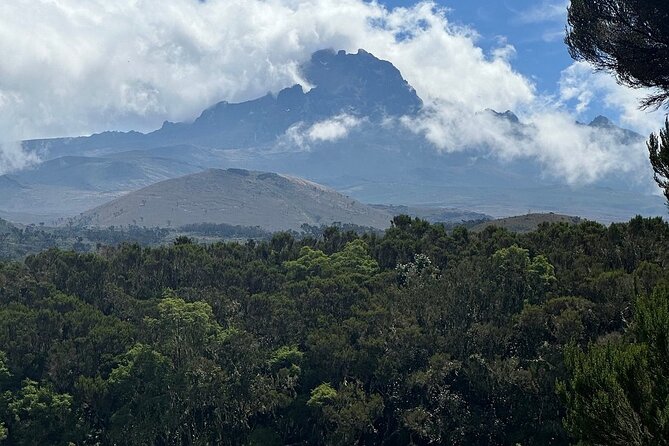 Private Day Tour Kilimanjaro Hike - Guide quality and the human side of the day
