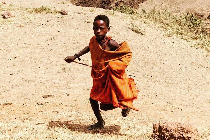 Private Day Trip to Ngorongoro Crater - Inside the 600-meter-deep crater
