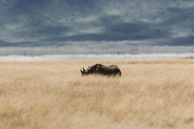 Private Day Trip to Ngorongoro Crater - The 7:00 am start from Arusha