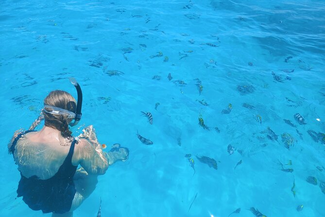 Private Dolphin Tour and Snorkeling at Mnemba Island reef - What the private format really adds