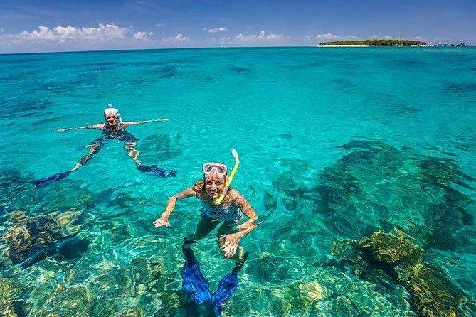 Private Dolphin Tour and Snorkeling at Mnemba Island reef - How to make the morning better