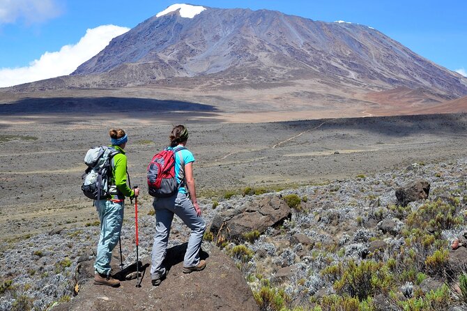 Private Full Day Hiking Experience to Marangu Route - What this Kilimanjaro day hike really offers