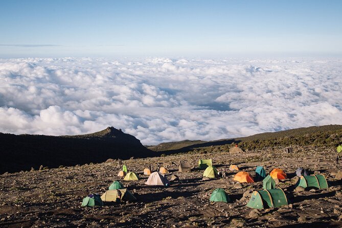 Private Full Day Hiking Experience to Marangu Route - Reaching Mandara Hut, the day’s turning point