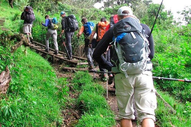 Private Full Day Hiking Experience to Marangu Route - The descent back to the main gate