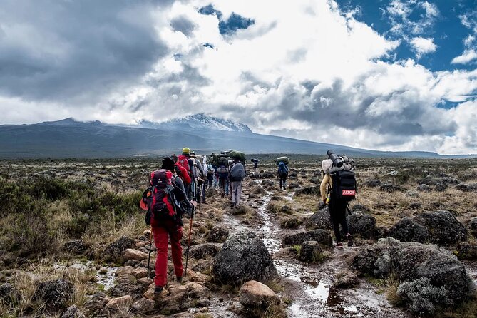 Private Full Day Hiking Experience to Marangu Route - What the $260 price covers