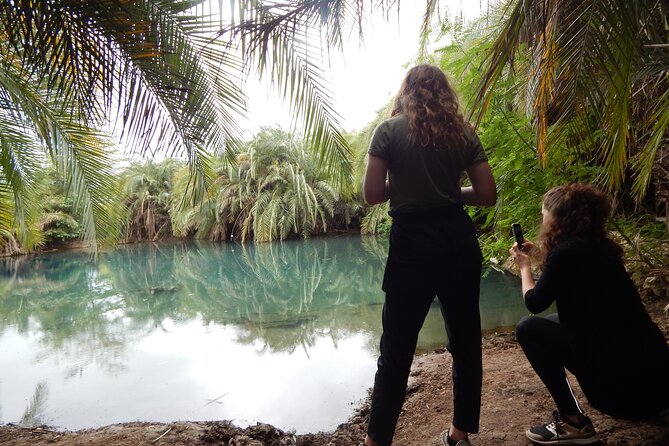 Private Full-Day Materuni Waterfall, Coffee and Hot-spring Tour in Moshi - The day in brief