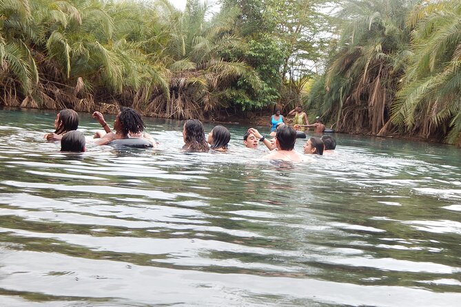 Private Full-Day Materuni Waterfall, Coffee and Hot-spring Tour in Moshi - Learning coffee from the Chagga community