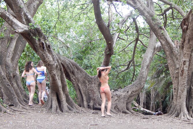 Private Full-Day Materuni Waterfall, Coffee and Hot-spring Tour in Moshi - What the private vehicle and guide add