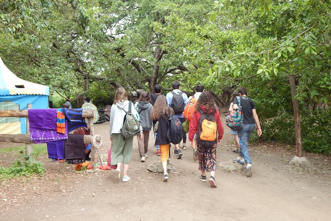Private Full-Day Materuni Waterfall, Coffee and Hot-spring Tour in Moshi - Who should book this day trip?