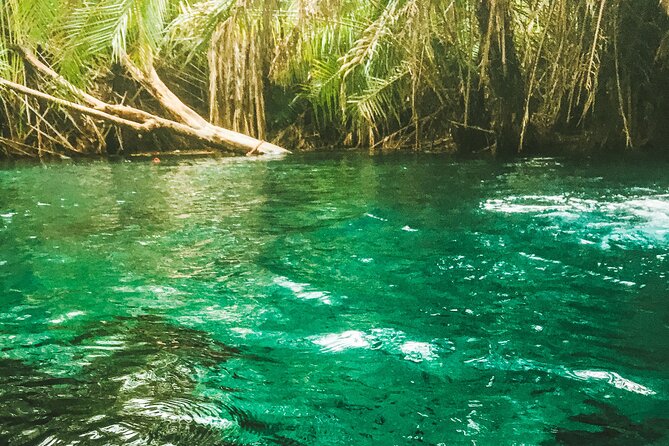 Private Full-Day Materuni Waterfalls and Kikuletwa Hotspring - Key points to know before booking