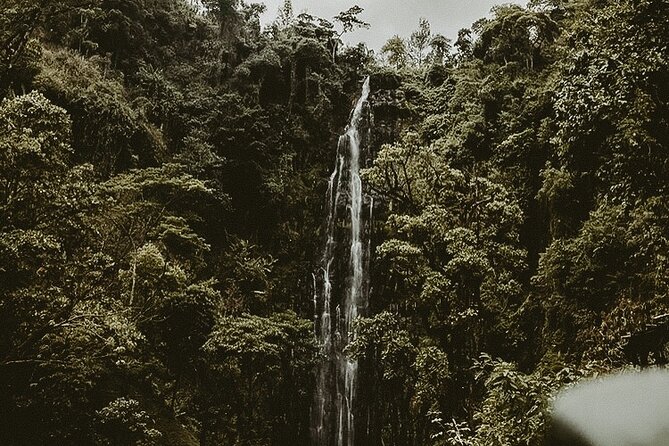 Private Full-Day Materuni Waterfalls and Kikuletwa Hotspring - Why this Arusha day trip works so well