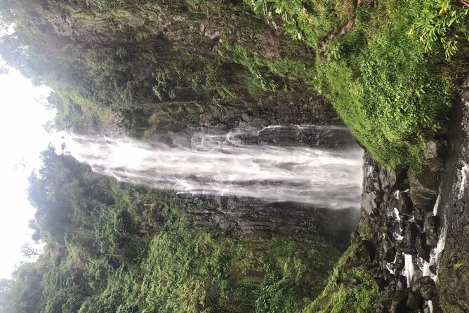 Private Full-Day Materuni Waterfalls and Kikuletwa Hotspring - Who should book this experience?