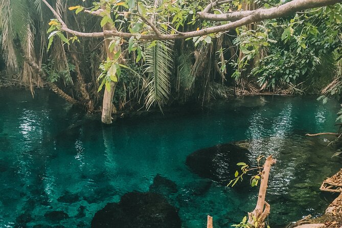 Private Full-Day Materuni Waterfalls and Kikuletwa Hotspring - The village coffee tour turns a drink into an activity