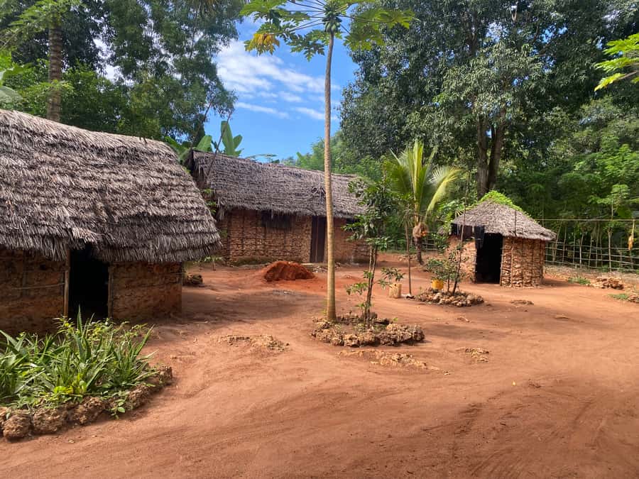 Private Full Day Trip Exploring Zanzibar Nature - The drive to Jozani Forest