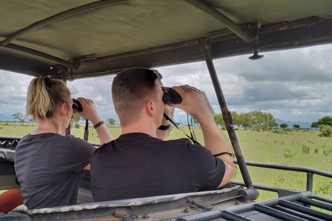 Private Full-Day Trip to Mikumi National Park from Dar es Salaam - A private vehicle changes the feel of the safari