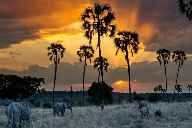 Private Full-Day Trip to Mikumi National Park from Dar es Salaam - What the guides add to the day