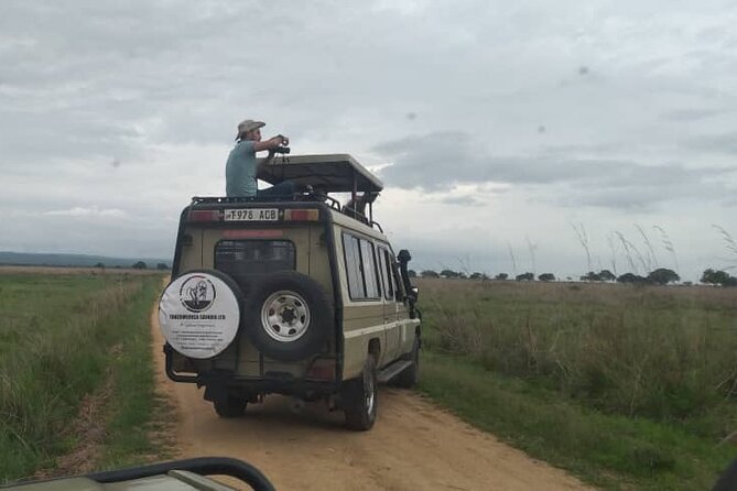 Private Full-Day Trip to Mikumi National Park from Dar es Salaam - Who should book this private Mikumi safari?