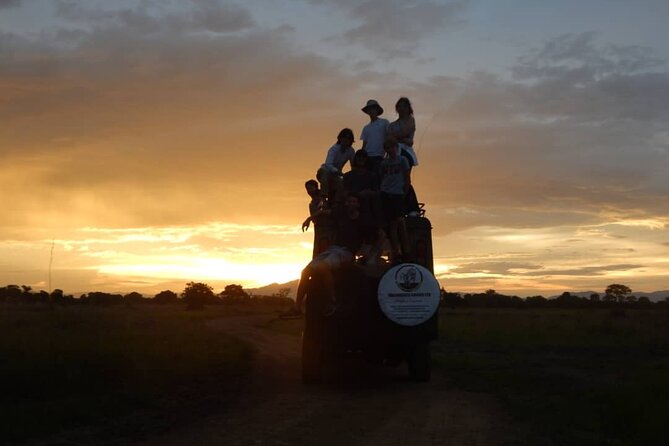 Private Full-Day Trip to Mikumi National Park from Dar es Salaam - Booking, weather, and cancellation details