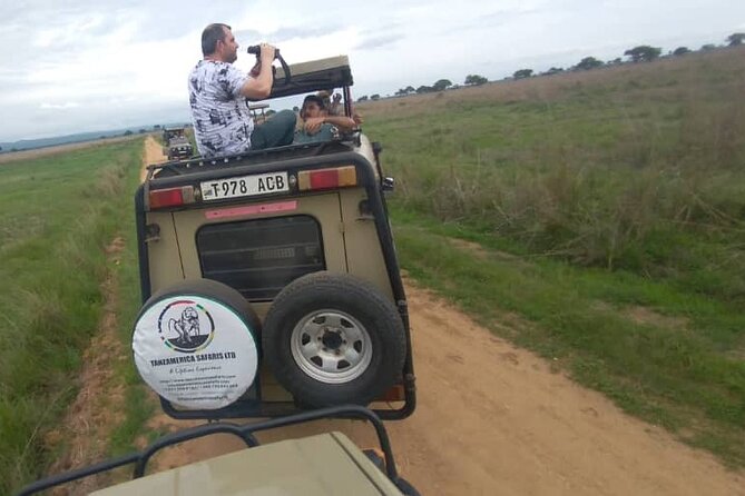Private Full-Day Trip to Mikumi National Park from Dar es Salaam - The 4:00 AM pickup and long road to Morogoro