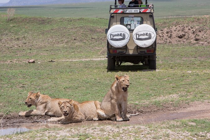 Private Group Serengeti Safari, Crater & Tarangire National Park - Arusha pickup and the private-safari setup