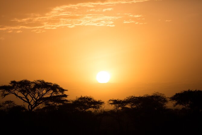 Private Group Serengeti Safari, Crater & Tarangire National Park - Who will get the most from this safari?