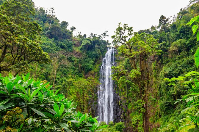 Private Materuni and Chemka Hotspring Tour - What makes the waterfall worth four hours