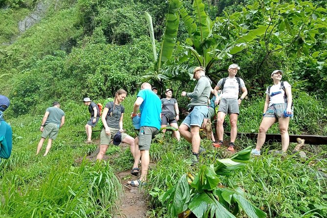 Private Materuni Waterfalls, Coffee Tour and Kikuletwa Hot Spring - Key points at a glance