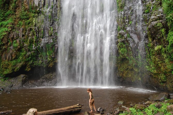 Private Materuni Waterfalls, Coffee Tour and Kikuletwa Hot Spring - Coffee in Materuni, from plant to cup