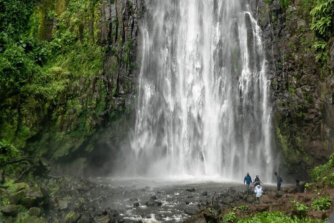 Private Materuni Waterfalls, Coffee Tour and Kikuletwa Hot Spring - Kikuletwa Hot Spring: clear water and shade