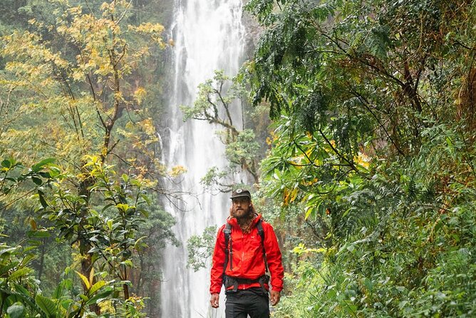 Private Materuni Waterfalls, Coffee Tour and Kikuletwa Hot Spring - Materuni Waterfalls: a short hike with a real payoff