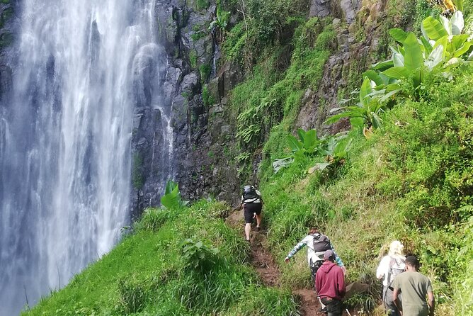 Private Materuni Waterfalls Hiking and Coffee Tour - The guide can shape the whole day