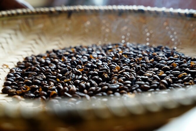 Private Meru Coffee Tour in Nkoaranga - What makes this coffee tour special
