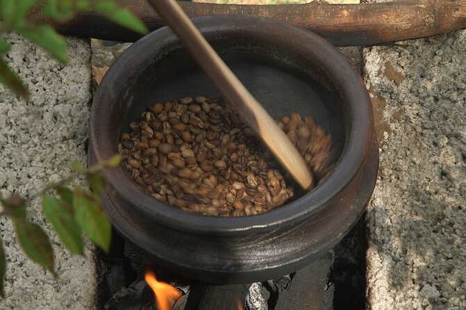 Private Meru Coffee Tour in Nkoaranga - Meeting The Small Things’ wider mission