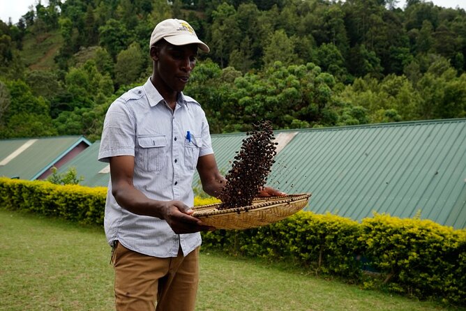 Private Meru Coffee Tour in Nkoaranga - Reuben, Rachel, and the value of a private guide