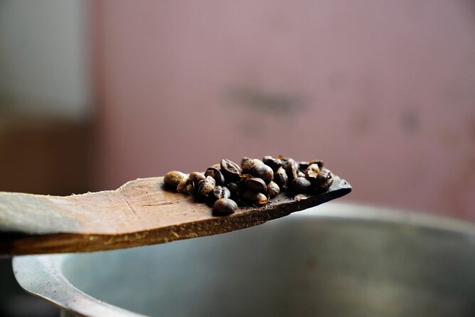 Private Meru Coffee Tour in Nkoaranga - What the $35 price gets you
