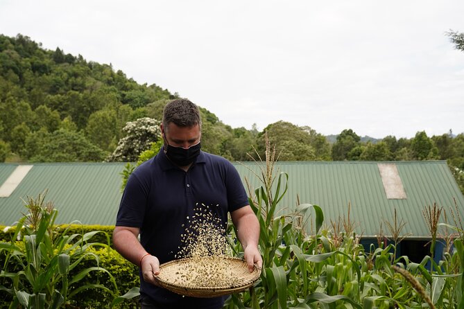 Private Meru Coffee Tour in Nkoaranga - Who should book this experience?